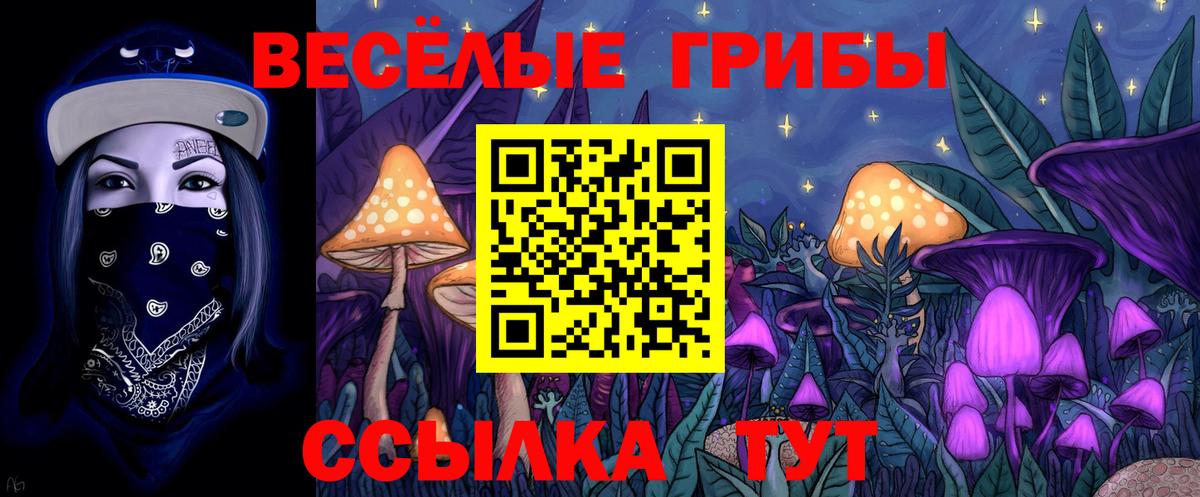 Сатка  Псилоцибиновые грибы Cubensis  Вход с VPN 